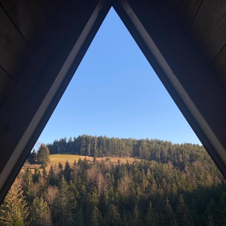 The Tara Concept Villa Sljivovica  Kültér fotó